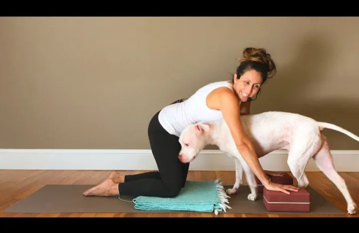Trauma-Aware Yoga with Newtown Instructor Aline Marie